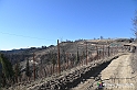 VBS_0843 - Corneliano d'Alba